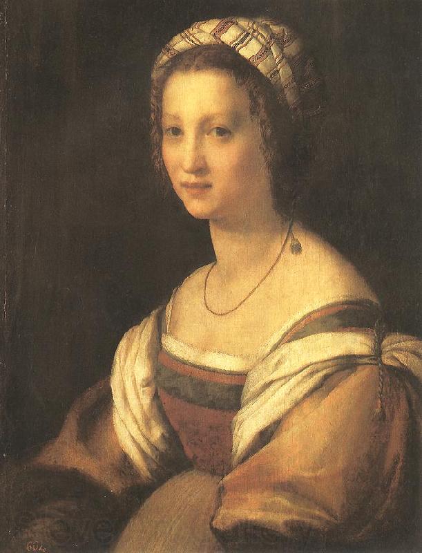 Andrea del Sarto Portrait of the Artist s Wife Spain oil painting art